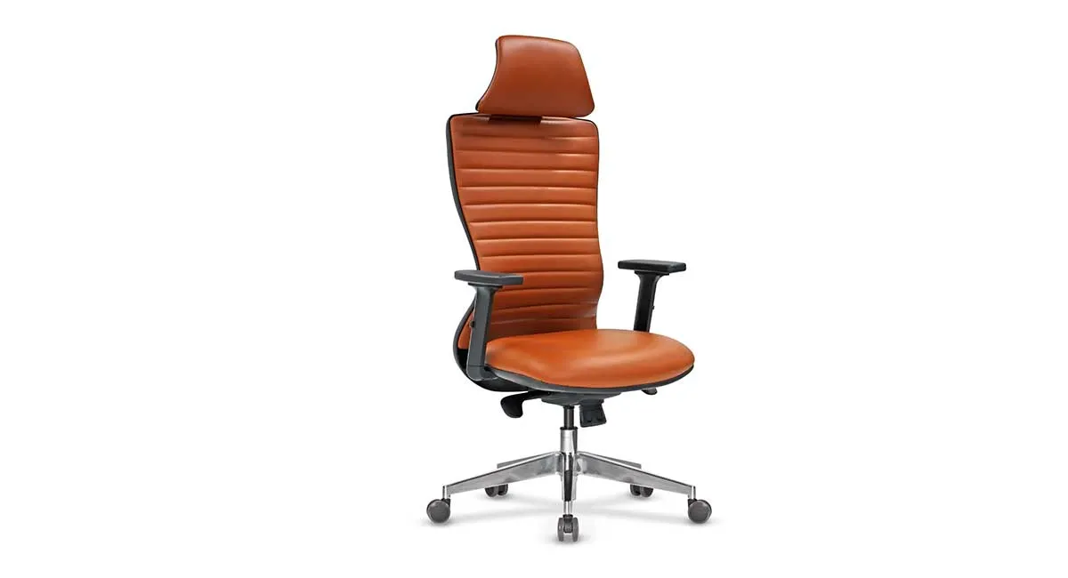 Arya Boss Sessel - 1