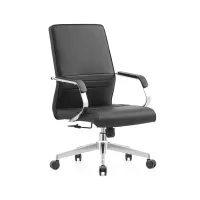 Chef Sessel B5501